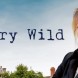 Jane Seymour dans la s�rie Harry Wild sur Paris Premi�re dimanche 18 d�cembre  � 21 h